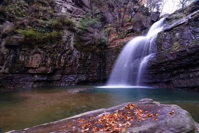 紫阳富硒茶哪个牌子最好(紫阳富硒茶品牌价值)-硒宝网