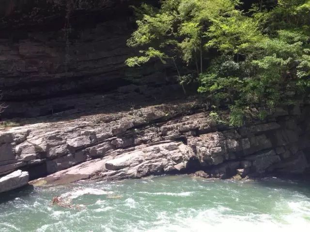 紫阳富硒茶哪个牌子最好(紫阳富硒茶品牌价值)-硒宝网