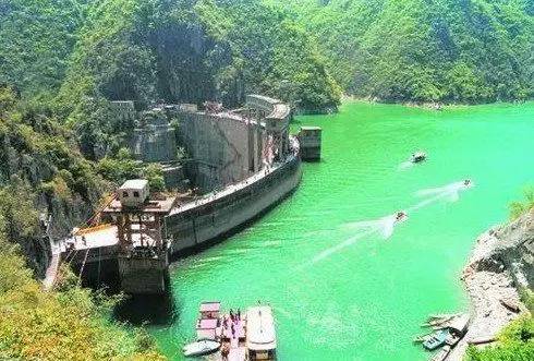 紫阳富硒茶哪个牌子最好(紫阳富硒茶品牌价值)-硒宝网