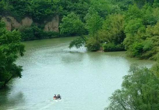 紫阳富硒茶哪个牌子最好(紫阳富硒茶品牌价值)-硒宝网