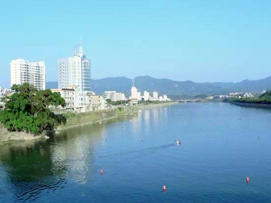 紫阳富硒茶哪个牌子最好(紫阳富硒茶品牌价值)-硒宝网