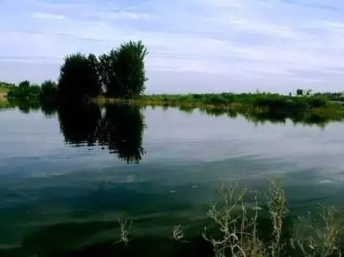 紫阳富硒茶哪个牌子最好(紫阳富硒茶品牌价值)-硒宝网