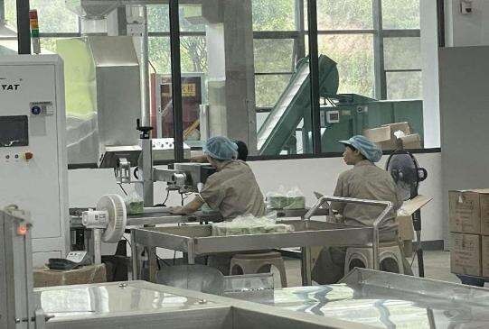 紫阳富硒茶采摘了吗现在（采摘茶紫阳富硒现在能种吗）-硒宝网