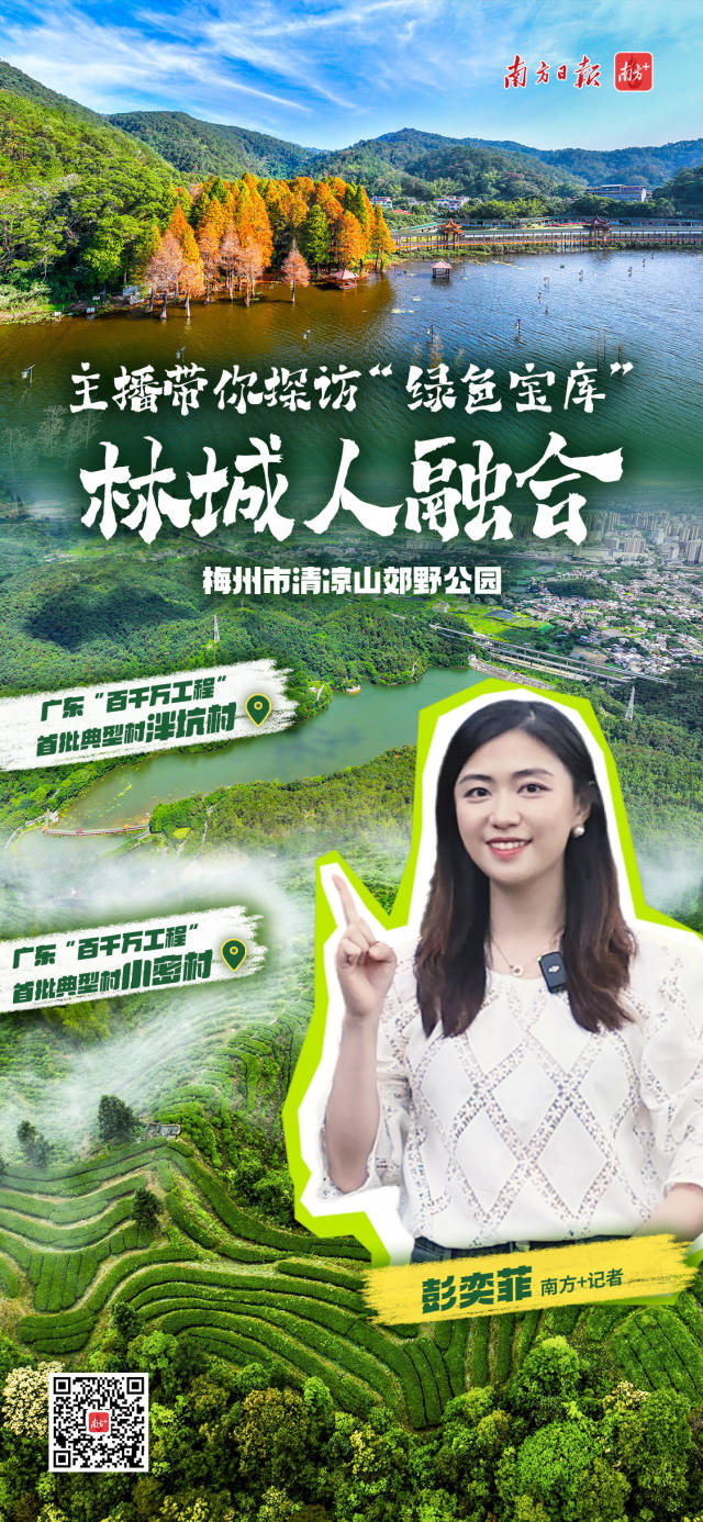 梅州的富硒茶是什么茶种（富硒茶园）-硒宝网