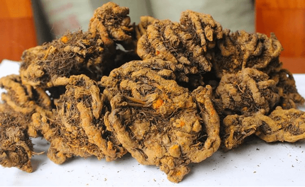 北京富硒茶恩施玉露价格(恩施玉露茶茶具)-硒宝网