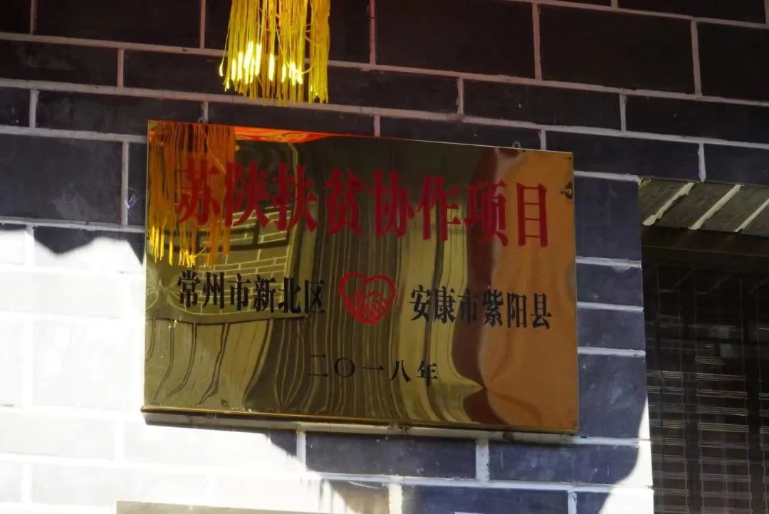 紫阳富硒茶区域品牌建设(紫阳富硒茶核心产区)-硒宝网