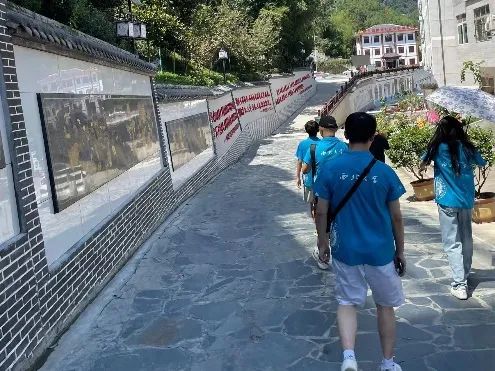 紫阳富硒茶区域品牌建设(紫阳富硒茶核心产区)-硒宝网