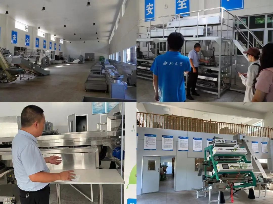 紫阳富硒茶区域品牌建设(紫阳富硒茶核心产区)-硒宝网