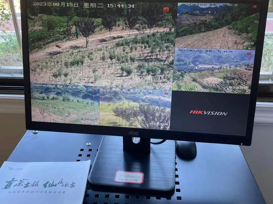 紫阳富硒茶区域品牌建设(紫阳富硒茶核心产区)-硒宝网