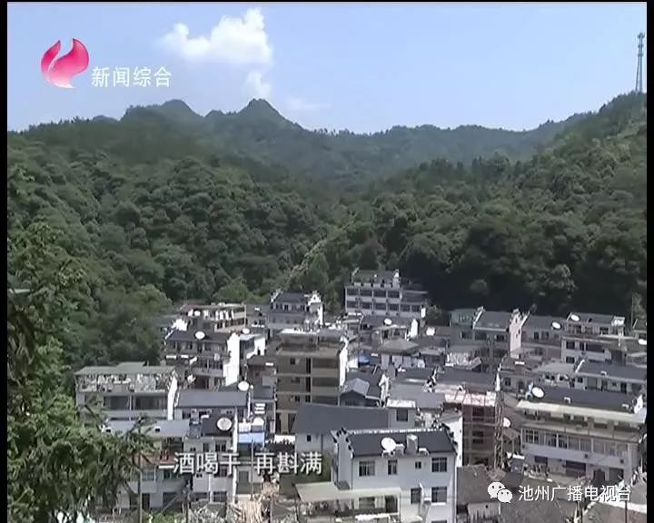 仙寓山富硒茶属于什么茶(仙寓山茶叶)-硒宝网