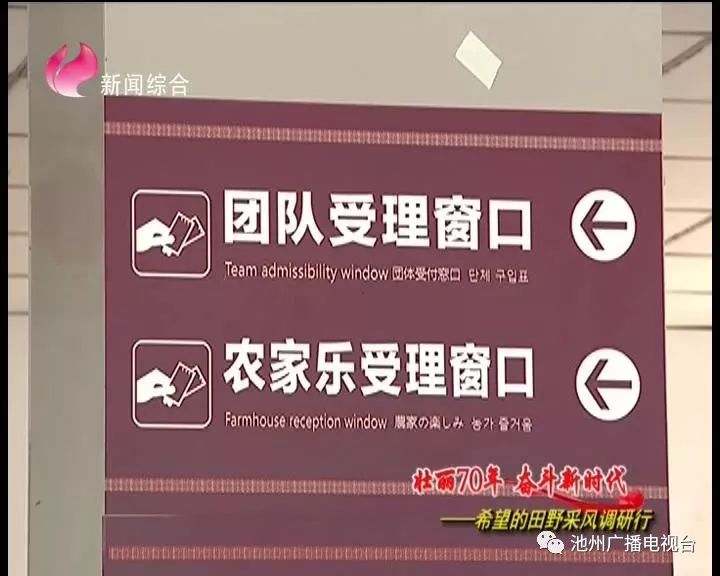 仙寓山富硒茶属于什么茶(仙寓山茶叶)-硒宝网