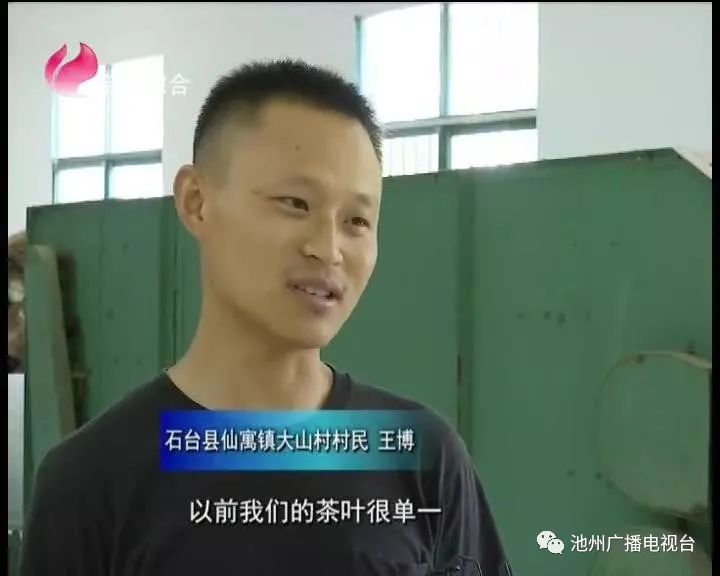 仙寓山富硒茶属于什么茶(仙寓山茶叶)-硒宝网