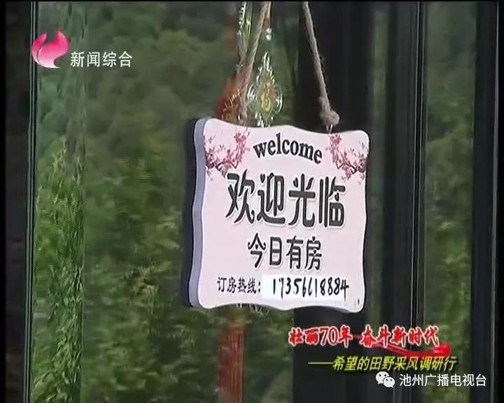 仙寓山富硒茶属于什么茶(仙寓山茶叶)-硒宝网