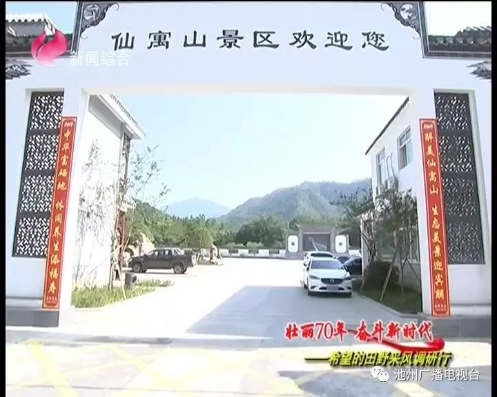 仙寓山富硒茶属于什么茶(仙寓山茶叶)-硒宝网