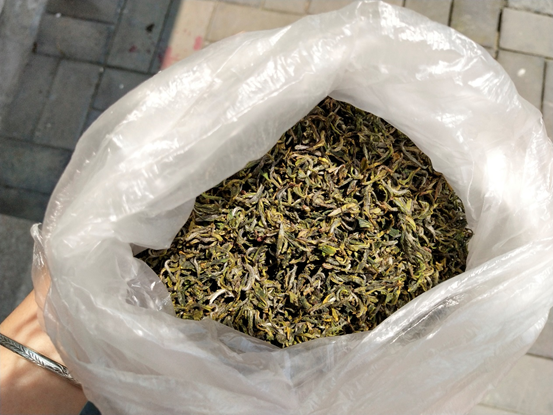 仙寓山富硒茶属于什么茶(野生富硒茶仙寓山怎么卖)-硒宝网