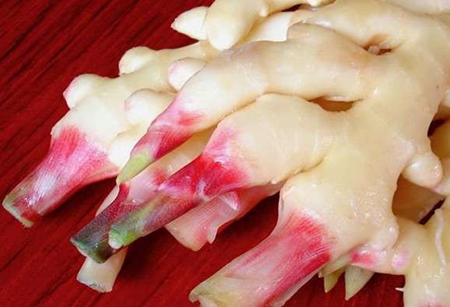 仙寓山富硒茶属于什么茶(野生富硒茶仙寓山怎么卖)-硒宝网