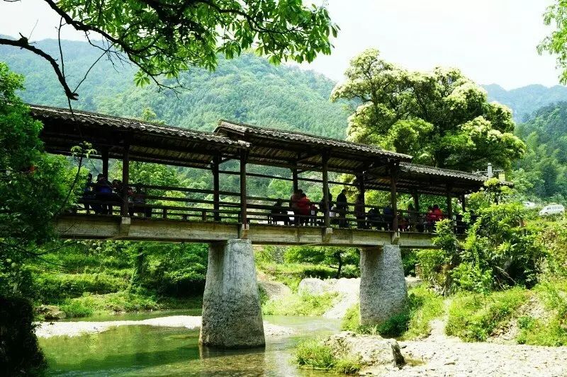 仙寓山富硒茶属于什么茶(仙寓山硒茶价格)-硒宝网