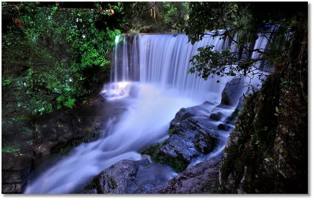 仙寓山富硒茶属于什么茶(仙寓山硒茶价格)-硒宝网