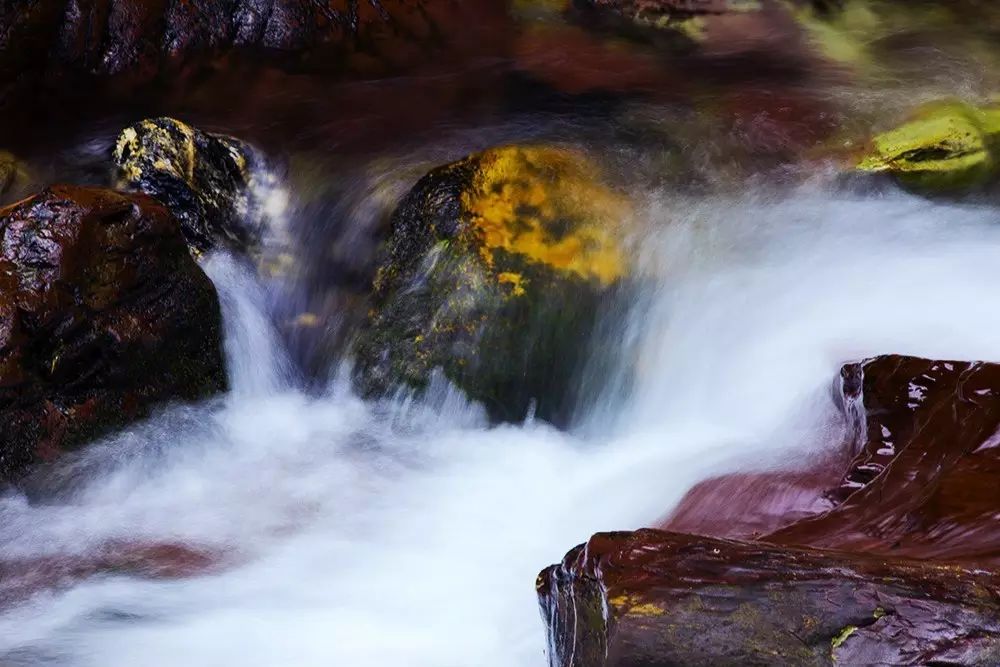 仙寓山富硒茶属于什么茶(仙寓山硒茶价格)-硒宝网