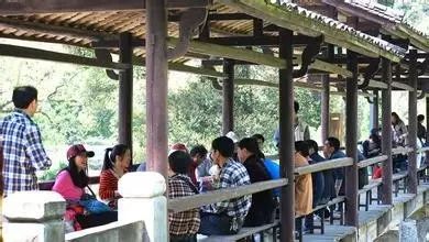 仙寓山富硒茶属于什么茶(仙寓山硒茶价格)-硒宝网