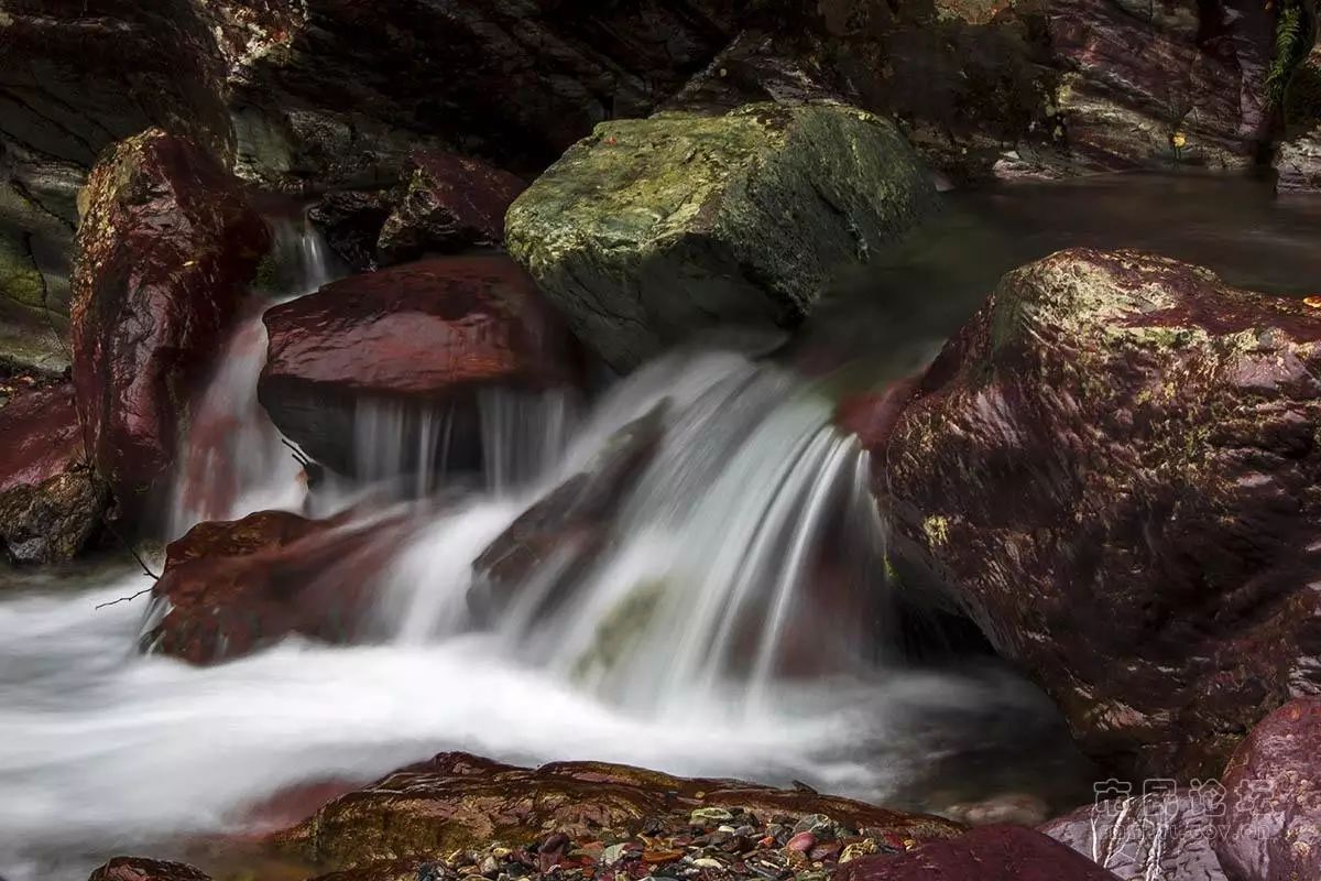 仙寓山富硒茶属于什么茶(仙寓山硒茶价格)-硒宝网
