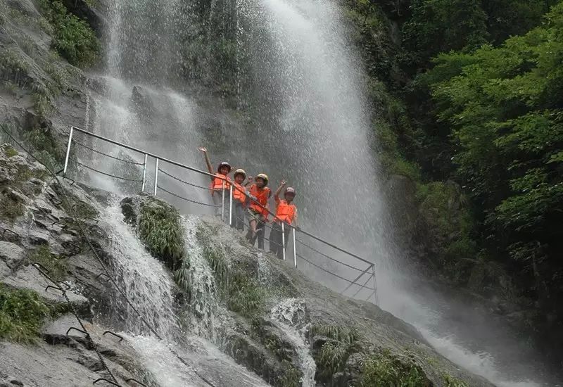 仙寓山富硒茶属于什么茶(仙寓山硒茶价格)-硒宝网