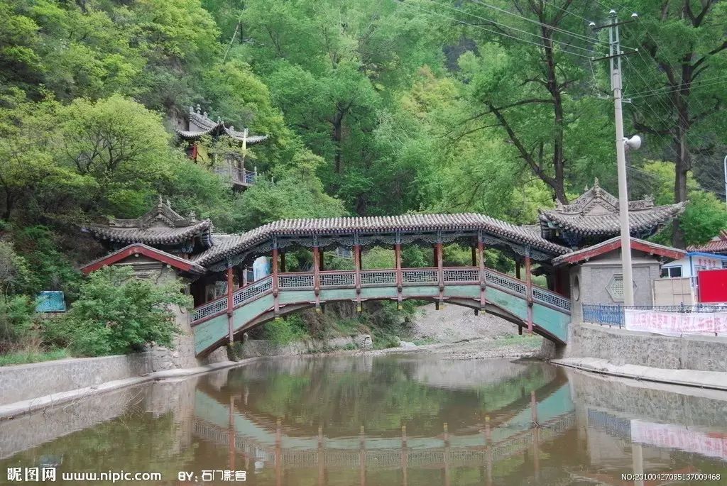 仙寓山富硒茶属于什么茶(仙寓山硒茶价格)-硒宝网