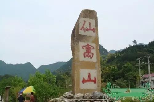 仙寓山富硒茶属于什么茶(仙寓山硒茶价格)-硒宝网