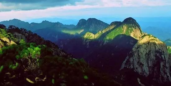 仙寓山富硒茶属于什么茶(仙寓山硒茶价格)-硒宝网