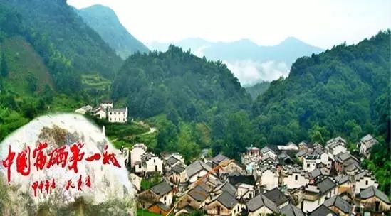 仙寓山富硒茶属于什么茶(仙寓山硒茶价格)-硒宝网