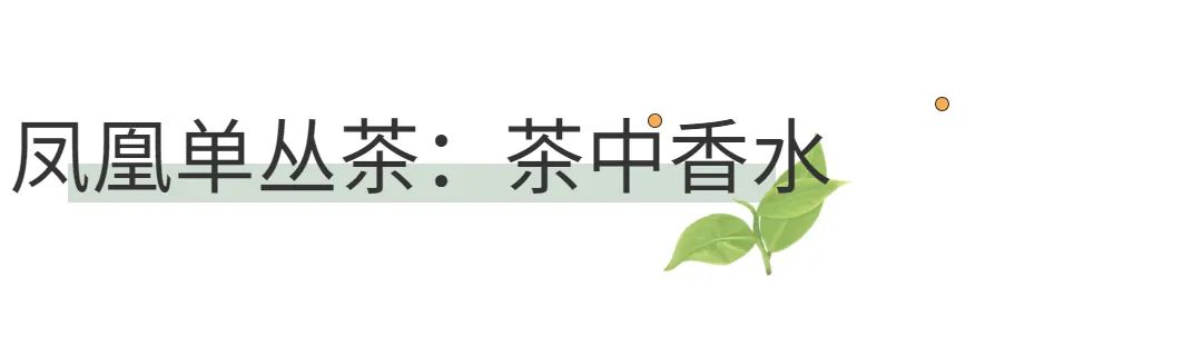 西岩高山富硒茶是什么茶(高山富硒茶功效)-硒宝网