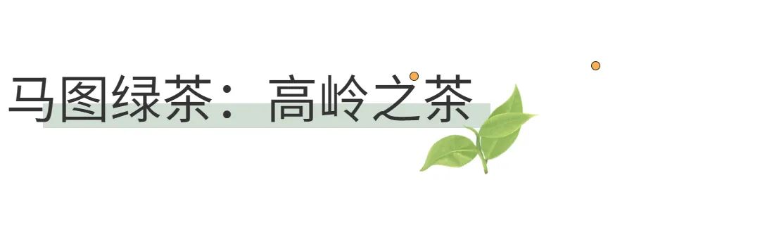 西岩高山富硒茶是什么茶(高山富硒茶功效)-硒宝网