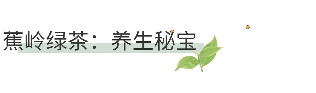 西岩高山富硒茶是什么茶(高山富硒茶功效)-硒宝网