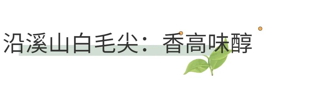 西岩高山富硒茶是什么茶(高山富硒茶功效)-硒宝网
