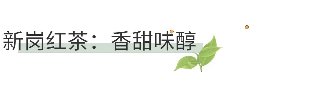 西岩高山富硒茶是什么茶(高山富硒茶功效)-硒宝网