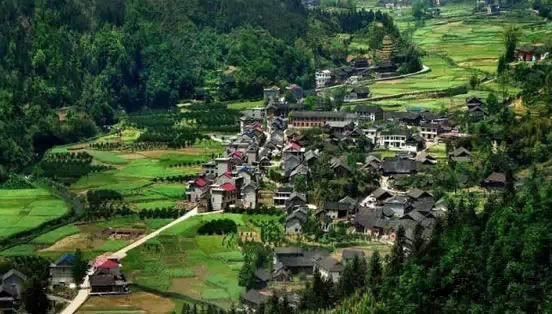 安化黑茶为什么是富硒茶（安化黑茶富硒茶的功效与作用）-硒宝网