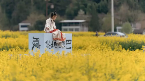 紫阳25万亩富硒茶开园(紫阳富硒茶园观光)-硒宝网