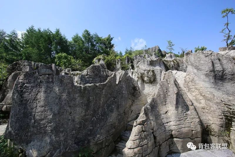 恩施受欢迎的恩施富硒茶（恩施的茶叶是富硒茶吗）-硒宝网