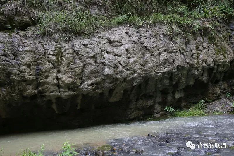 恩施受欢迎的恩施富硒茶（恩施的茶叶是富硒茶吗）-硒宝网
