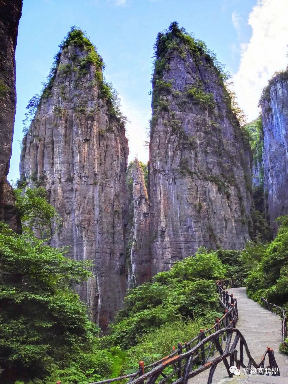 恩施受欢迎的恩施富硒茶（恩施的茶叶是富硒茶吗）-硒宝网