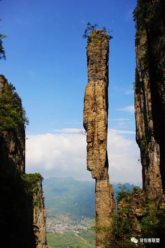 恩施受欢迎的恩施富硒茶（恩施的茶叶是富硒茶吗）-硒宝网