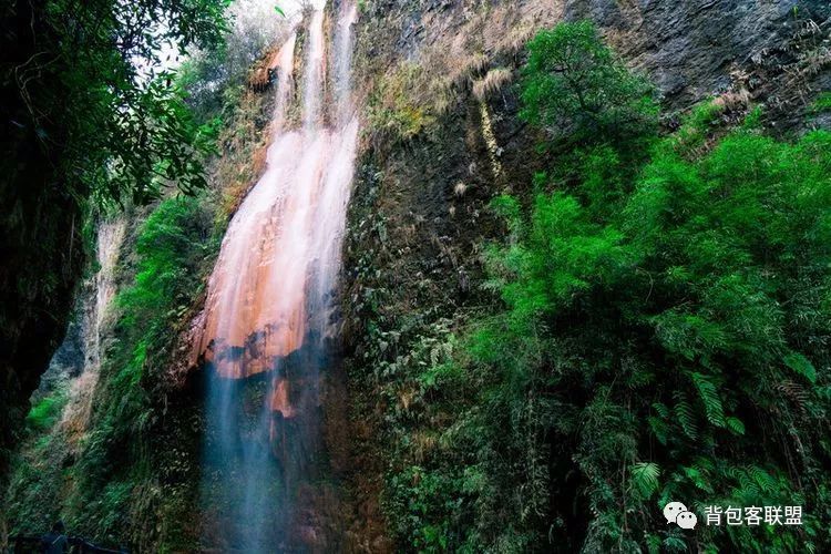 恩施受欢迎的恩施富硒茶（恩施的茶叶是富硒茶吗）-硒宝网