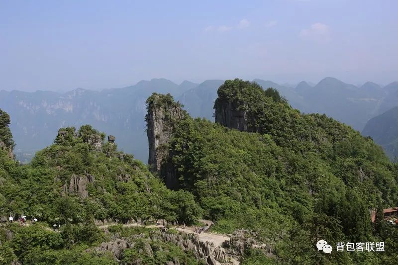 恩施受欢迎的恩施富硒茶（恩施的茶叶是富硒茶吗）-硒宝网