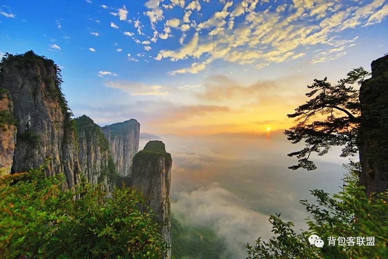 恩施受欢迎的恩施富硒茶（恩施的茶叶是富硒茶吗）-硒宝网