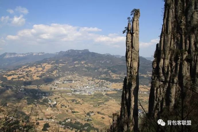 恩施受欢迎的恩施富硒茶（恩施的茶叶是富硒茶吗）-硒宝网