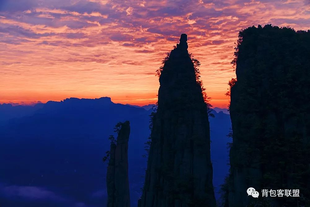 恩施受欢迎的恩施富硒茶（恩施的茶叶是富硒茶吗）-硒宝网