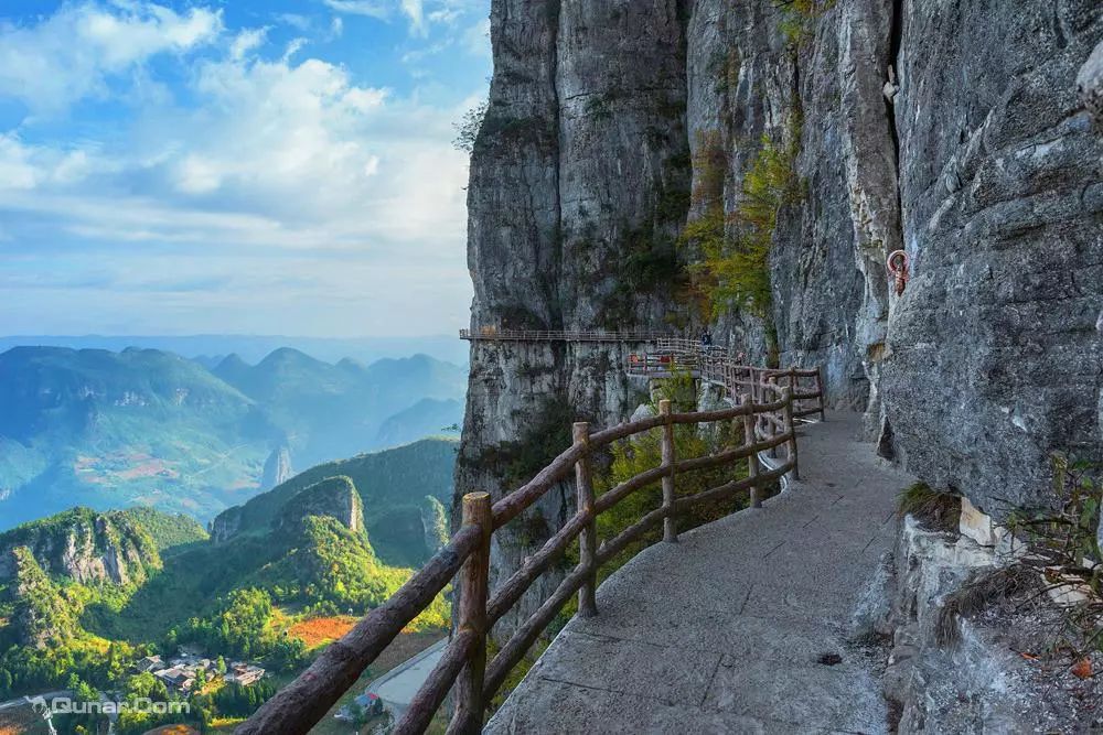 恩施受欢迎的恩施富硒茶(恩施特产富硒茶)-硒宝网