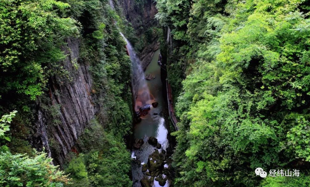 恩施受欢迎的恩施富硒茶(恩施特产富硒茶)-硒宝网
