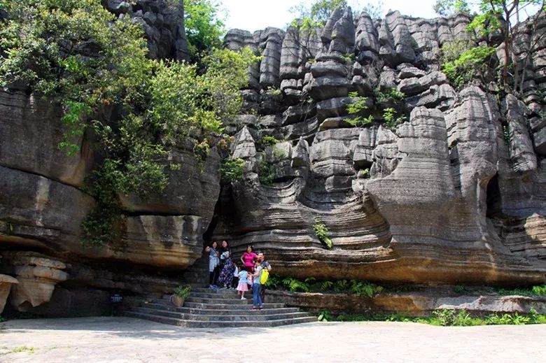 恩施受欢迎的恩施富硒茶(恩施特产富硒茶)-硒宝网