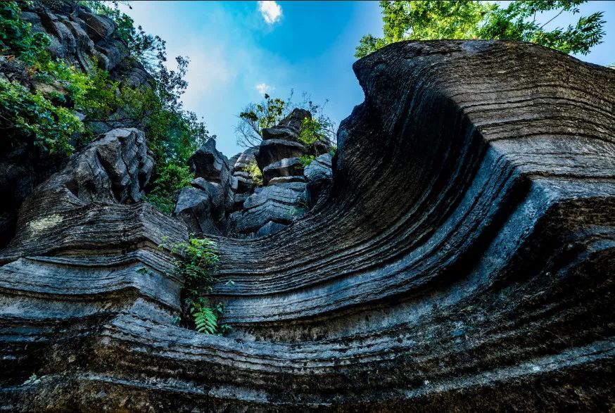 恩施受欢迎的恩施富硒茶(恩施特产富硒茶)-硒宝网